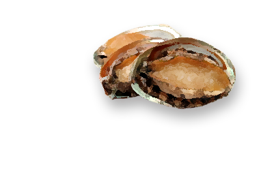 アワビ